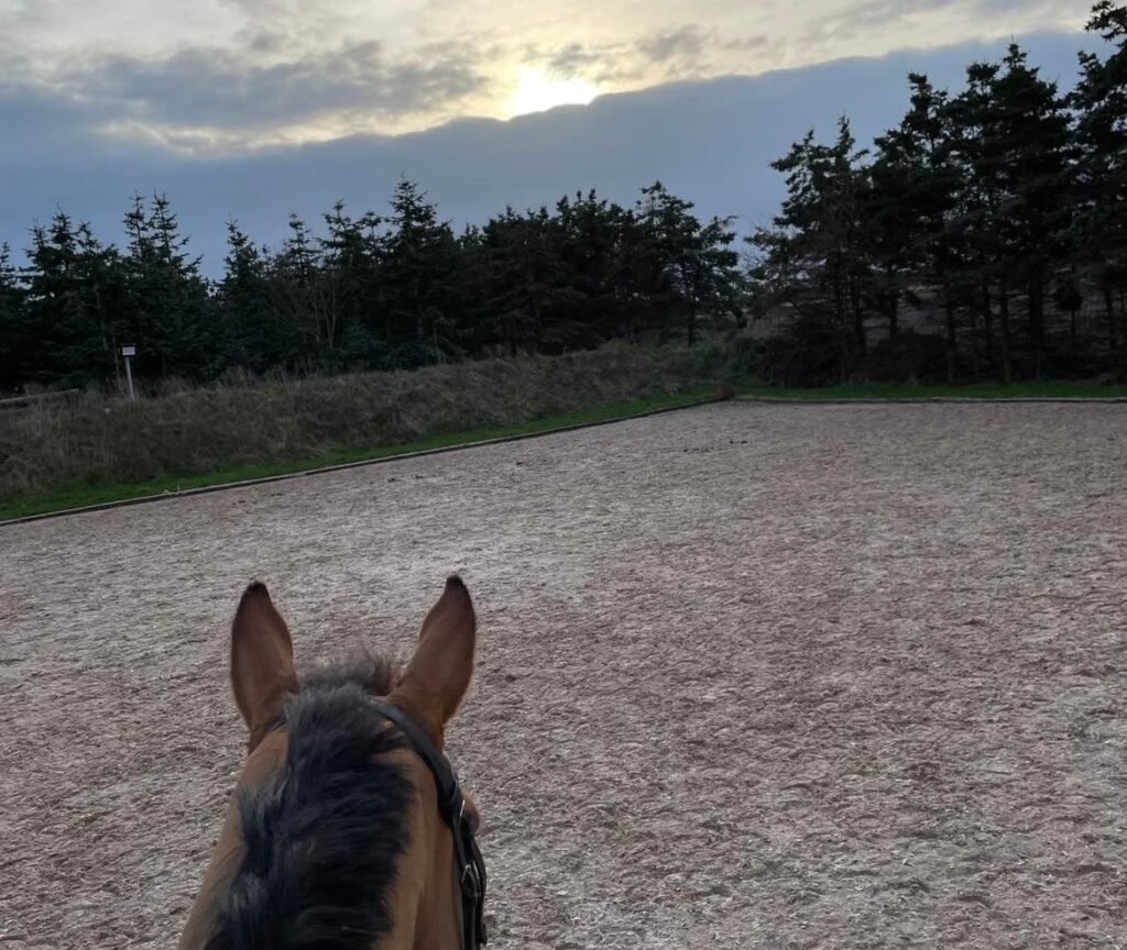 Udendørs banen en stille aften efter en god ridedag med undervisning, hygge og gode oplevelser på Grangaarden