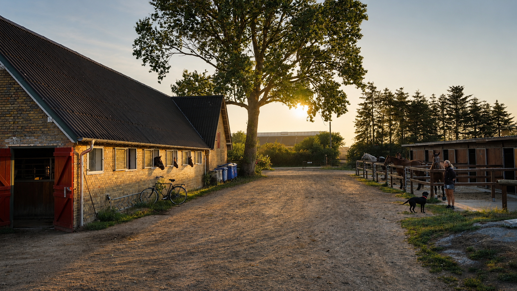 Morgenstemning ved Grangaardens stalde i Dragør