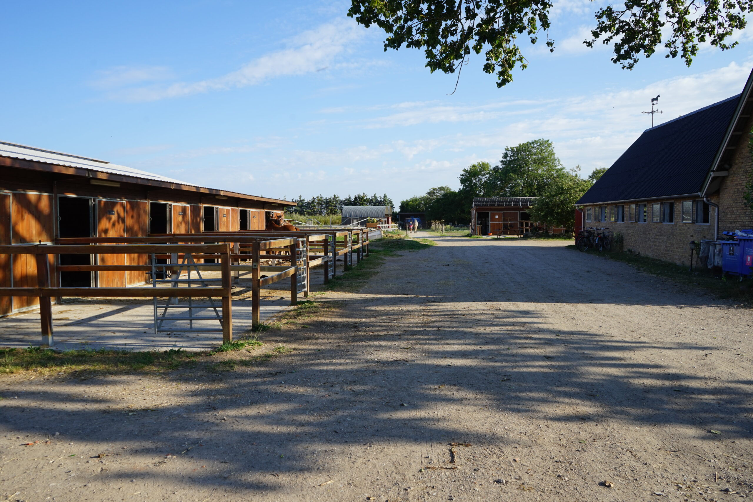 Stalde og paddocks på Grangaarden i Dragør
