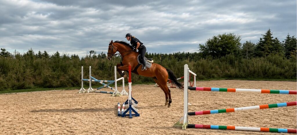 Rytter og hest træner på Grangaardens udendørs ridebane - springmateriel er tilrådighed