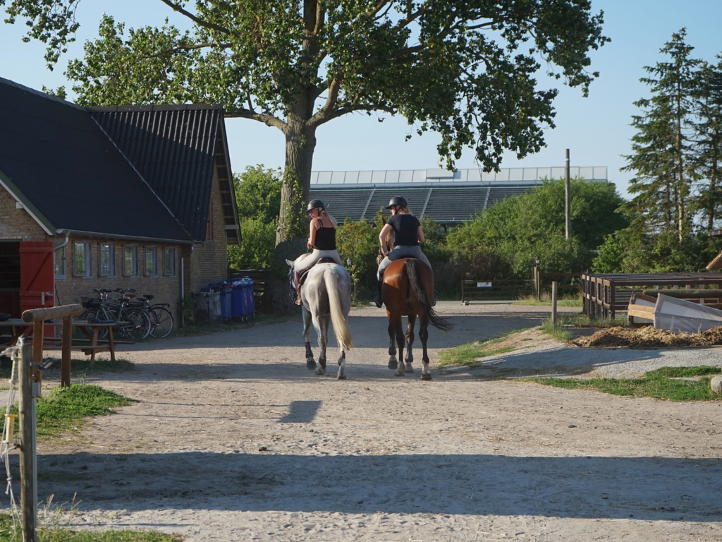 Ryttere ved Grangaardens stalde under rundvisning