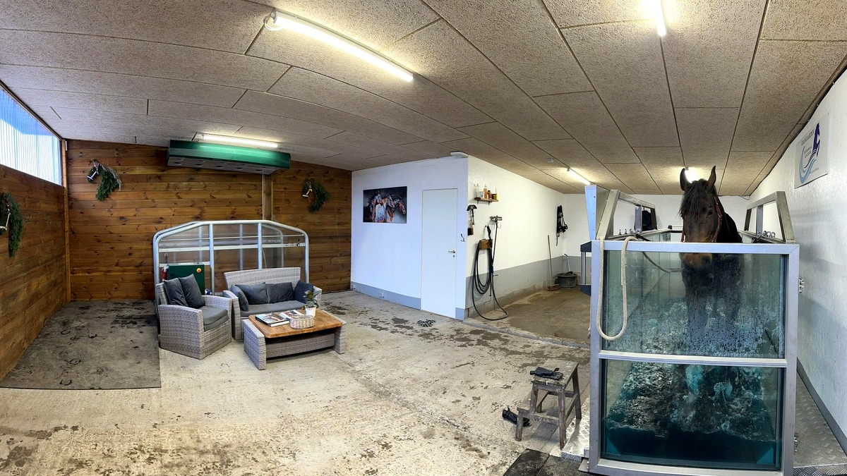 Hest i Grangaardens Wellness Center